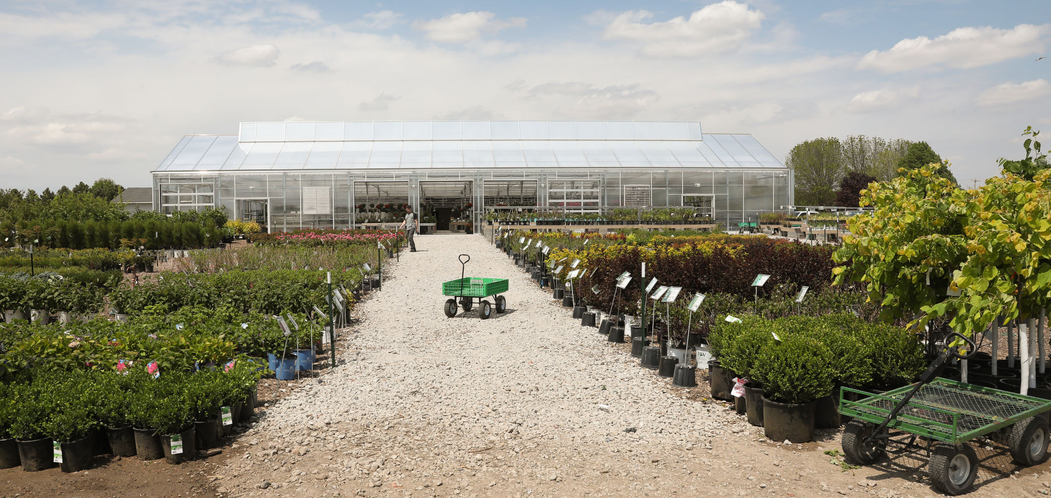 Steinbrink Landscaping and Greenhouses